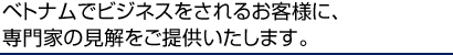 ベトナムでビジネスをされるお客様に、専門家の見解をご提供いたします。